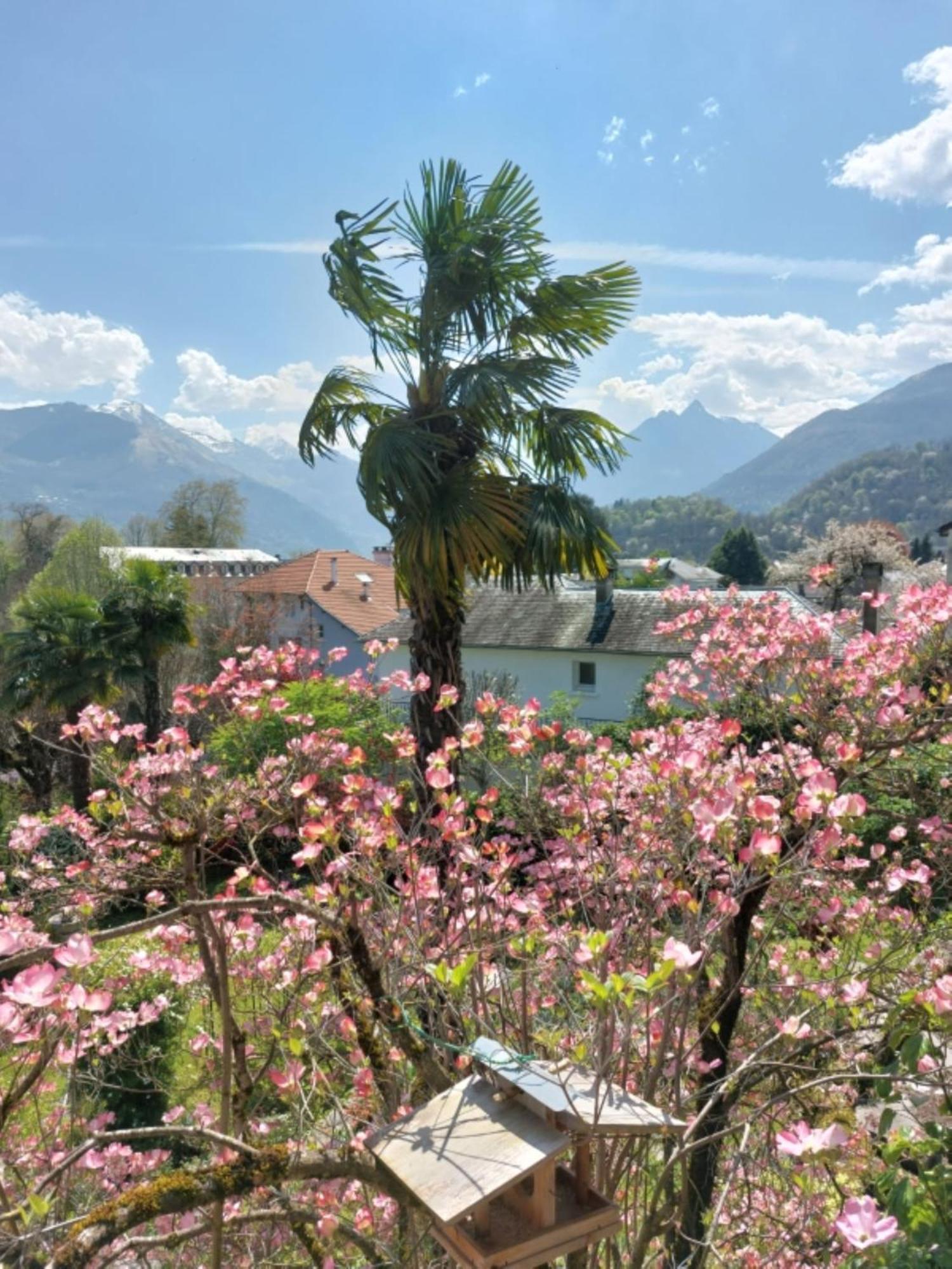 Logis Hotel Beau Site Argelès-Gazost Exteriér fotografie