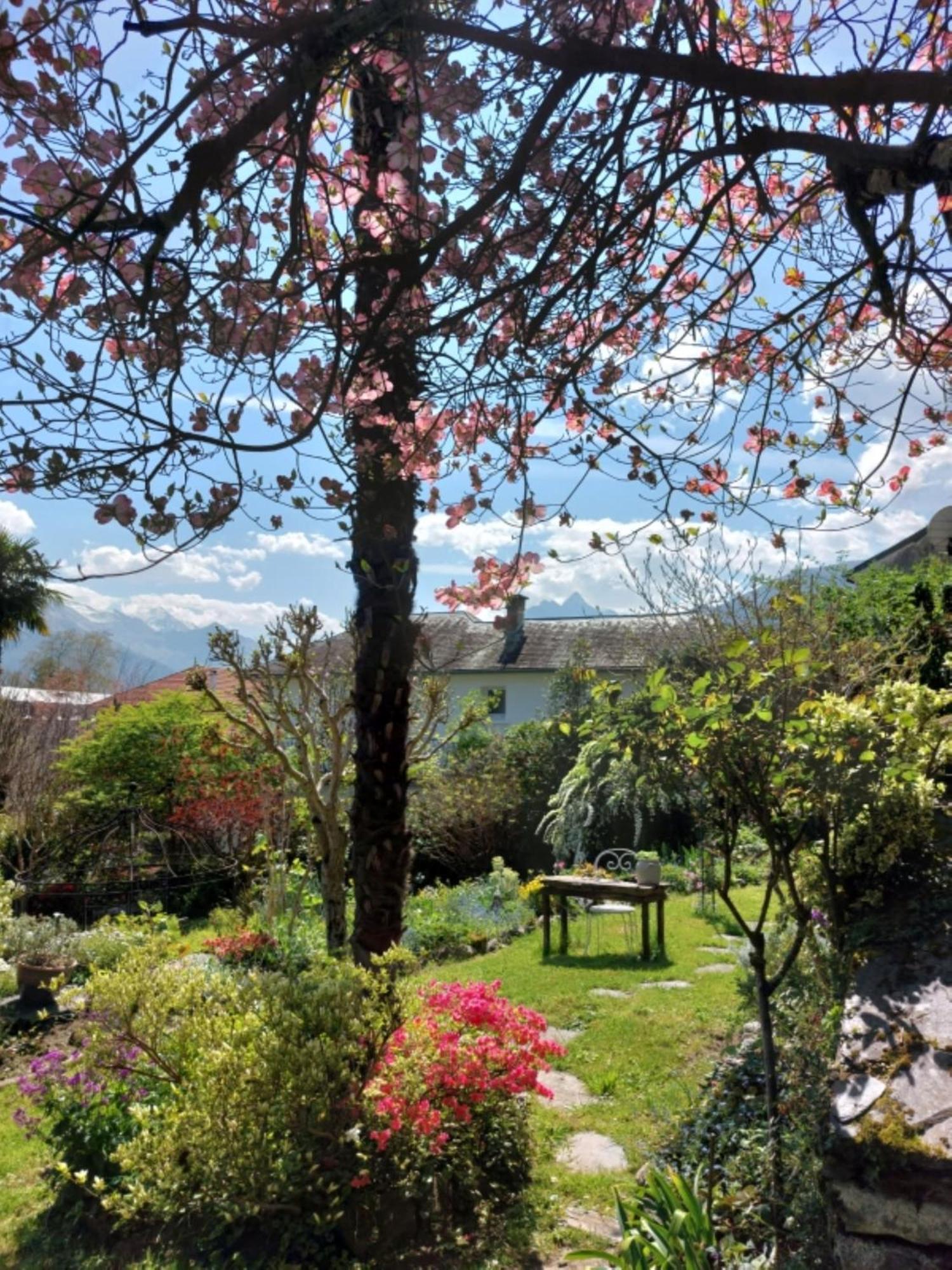 Logis Hotel Beau Site Argelès-Gazost Exteriér fotografie